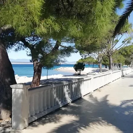 3 Palms *