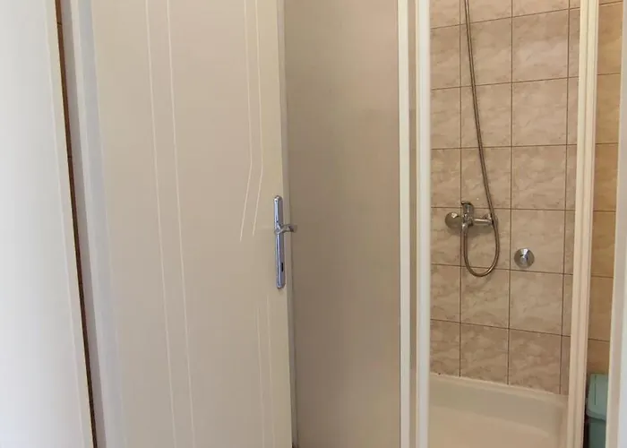 3 Palms