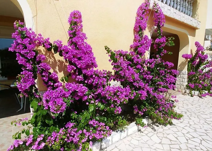 Διαμέρισμα 3 Palms