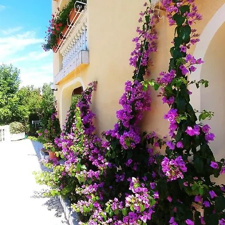 3 Palms Apartman Crikvenica